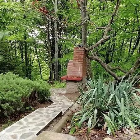 Cabana Din Padurea Valeni Vălenii de Munte Exterior foto