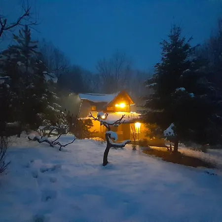 Cabana Din Padurea Valeni Vălenii de Munte Exterior foto