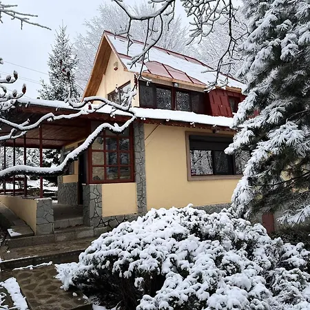 Cabana Din Padurea Valeni Vălenii de Munte Exterior foto