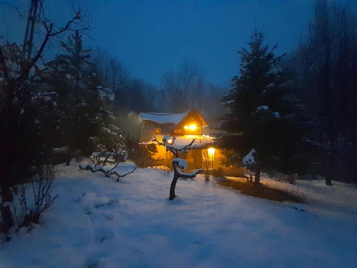 Din Padurea Valeni Hébergement de vacances Vălenii de Munte